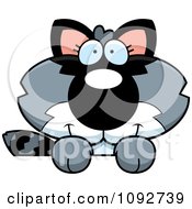 Clipart Cute Baby Raccoon Looking Over A Surface Royalty Free Vector Illustration