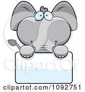 Poster, Art Print Of Cute Baby Elephant Holding A Sign