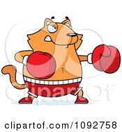 Poster, Art Print Of Chubby Orange Cat Boxing