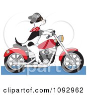 Poster, Art Print Of Biker Dog Riding A Motorcycle