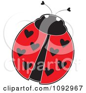 Poster, Art Print Of Ladybug With Heart Spots On Its Wings