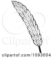 Poster, Art Print Of Black And White Strand Of Wheat