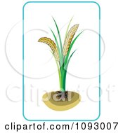 Poster, Art Print Of Wheat Plant And Blue Frame