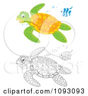 Poster, Art Print Of Colored And Outlined Swimming Sea Turtles And Fish