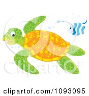 Clipart Swimming Sea Turtle And Fish Royalty Free Illustration