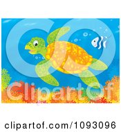 Poster, Art Print Of Sea Turtle And Fish Swimming Over A Reef