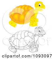 Poster, Art Print Of Happy Colored And Outlined Tortoises