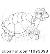 Poster, Art Print Of Happy Outlined Tortoise