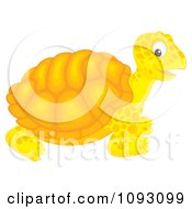 Poster, Art Print Of Happy Orange Tortoise