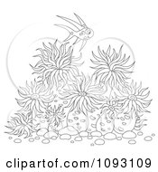 Clipart Outlined Fish Over Sea Anemones Royalty Free Illustration