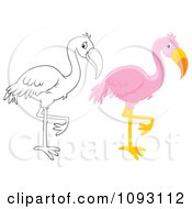 Clipart Outlined And Colored Flamingos Balanced On One Leg Royalty Free Illustration