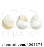 Poster, Art Print Of Three Boiled Eggs And Shells