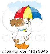 Poster, Art Print Of Cute Puppy With Boots And An Umbrella In The Rain
