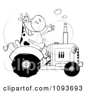 Poster, Art Print Of Black And White Cow Farmer Waving And Driving A Tractor