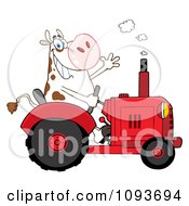 Cow Farmer Waving And Driving A Red Tractor