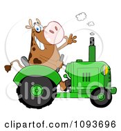 Poster, Art Print Of Cow Farmer Waving And Driving A Green Tractor