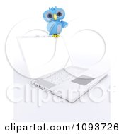 Poster, Art Print Of 3d Blue Owl Resting On A Laptop