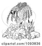 Outlined Willow Tree And Plants