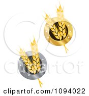 Clipart Wheat In Gold And Silver Rings Royalty Free Vector Illustration