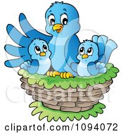 Poster, Art Print Of Blue Bird And Chicks In A Nest