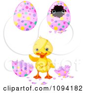 Poster, Art Print Of Cute Easter Duckling And Decorated Eggs