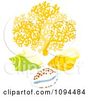 Poster, Art Print Of Yellow Coral With Sea Shells