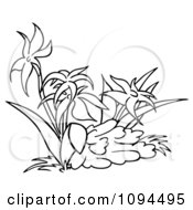 Clipart Outlined Wildflowers Royalty Free Vector Illustration