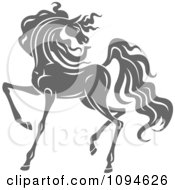 Clipart Prancing Gray Horse Looking Back Royalty Free Vector Illustration