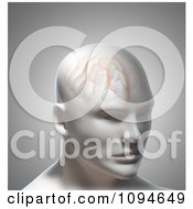 Poster, Art Print Of 3d Male Head With Brain Texture