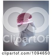 Poster, Art Print Of 3d Profiled Head With A Floating Brain