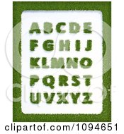 Poster, Art Print Of Grassy Letters And A Border