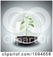 Poster, Art Print Of 3d Seedling Plant Growing In A Sphere