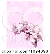 Background Of Pink Spring Blossoms Over Texture