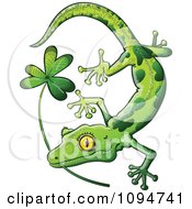 Poster, Art Print Of St Patricks Day Gecko Biting A Shamrock