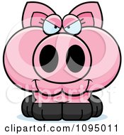 Clipart Sly Piglet Royalty Free Vector Illustration
