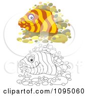 Poster, Art Print Of Outlined And Colored Moray Eels Peeking From Holes