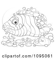 Poster, Art Print Of Outlined Moray Eel Peeking From A Hole