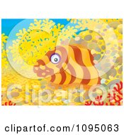 Poster, Art Print Of Moray Eel Peeking From A Hole In A Reef