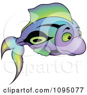 Poster, Art Print Of Colorful Purple Green And Black Fish