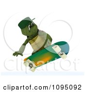 Poster, Art Print Of 3d Tortoise Skateboarding