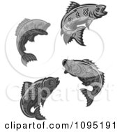 Poster, Art Print Of Grayscale Fish