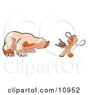Orange Man Holding A Stool And Whip While Taming A Bull Bull Market Clipart Illustration