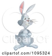 Clipart Grinning Gray Easter Bunny Royalty Free Vector Illustration