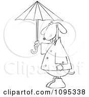 Poster, Art Print Of Outlined Dog Standing Upright In Rain Gear And Holding An Umbrella