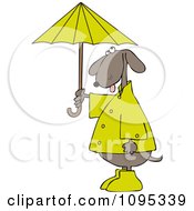 Poster, Art Print Of Dog Standing Upright And Holding An Umbrella