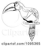 Poster, Art Print Of Outlined Perched Toucan Bird