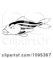 Clipart Black And White Striped Fish Royalty Free Vector Illustration