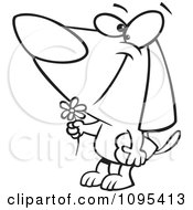 Clipart Black And White Outline Cartoon Courting Valentines Day Dog With A Flower And Candy Box Royalty Free Vector Illustration