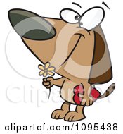 Poster, Art Print Of Cartoon Courting Valentines Day Dog With A Flower And Candy Box