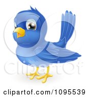 Poster, Art Print Of Happy Bluebird
